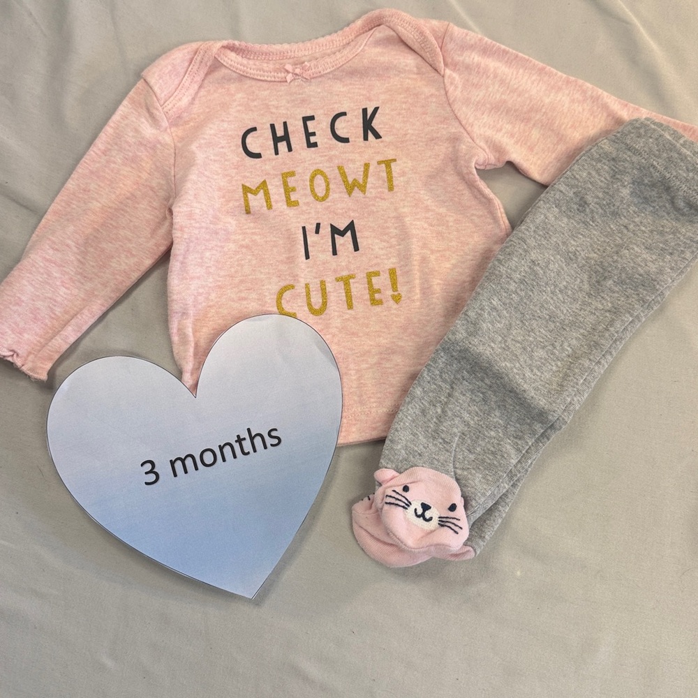 Carter's - 3M - Pink and Grey Kids 2-piece